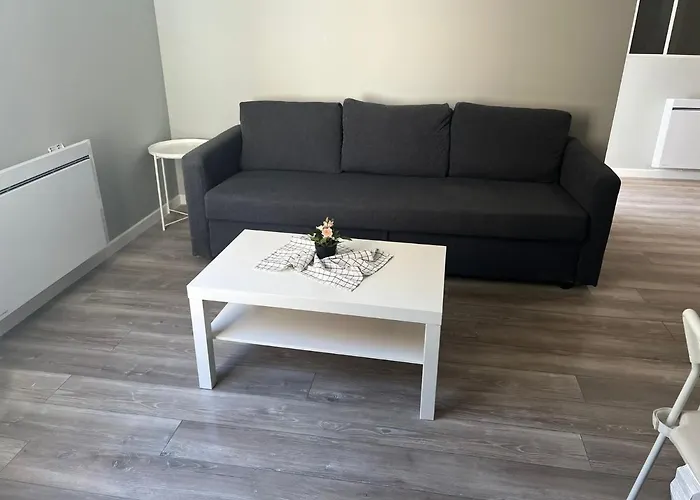 App 1 Mulhouse Centre , 6 Personnes